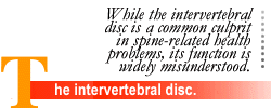 The intervertebral disc.